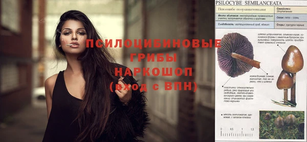 герыч Алексин