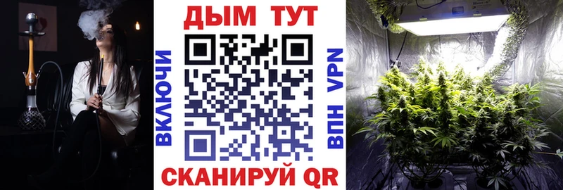 Шишки марихуана Bruce Banner  закладки  Абаза 